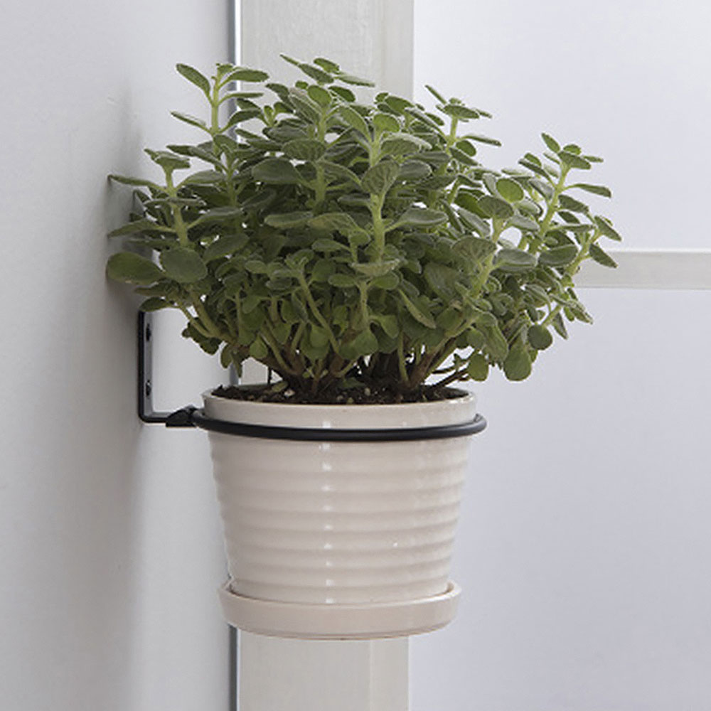 Flower Pot Trays Wall Mounted  - Flower Wall Panel 评论和价格